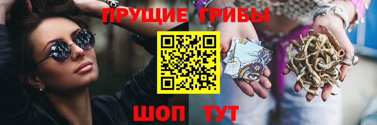 Псилоцибиновые грибы прущие грибы Ахтубинск